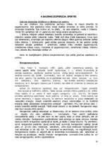 Referāts 'Optika', 19.