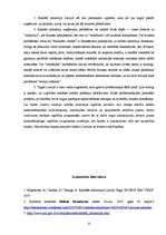 Referāts 'Latvijas radošo industriju raksturojums', 6.