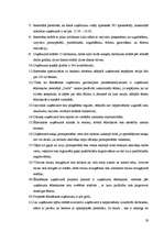 Referāts 'Restorāna "Gulbis" tehnoloģiskais projekts', 59.