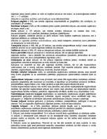 Konspekts 'Loģistika', 28.