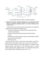 Referāts 'No sadzīves organiskiem atkritumiem iegūtās degvielas ražošanas procesa analīze', 18.