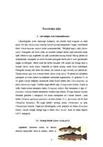 Referāts 'Foreļu audzēšana', 4.