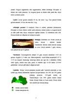 Referāts 'Foreļu audzēšana', 5.