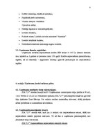 Biznesa plāns 'SIA "Lieliskais Valentīns"', 6.