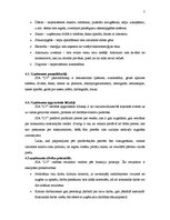 Biznesa plāns 'SIA "Lieliskais Valentīns"', 7.