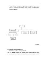 Biznesa plāns 'SIA "Lieliskais Valentīns"', 8.