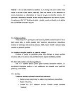 Biznesa plāns 'SIA "Lieliskais Valentīns"', 11.