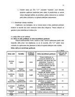 Biznesa plāns 'SIA "Lieliskais Valentīns"', 12.