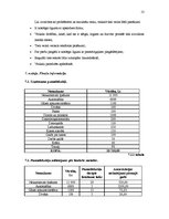 Biznesa plāns 'SIA "Lieliskais Valentīns"', 13.