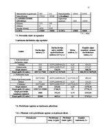 Biznesa plāns 'SIA "Lieliskais Valentīns"', 15.