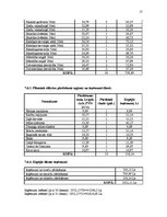 Biznesa plāns 'SIA "Lieliskais Valentīns"', 17.