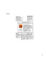 Referāts 'Tīrīšanas līdzekļu sastāvdaļu ietekme uz apkārtējo vidi un cilvēku', 22.