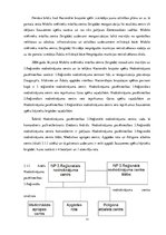 Referāts 'Iepirkumi', 11.