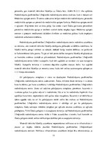 Referāts 'Iepirkumi', 13.