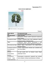 Referāts 'Анализ рекламы женской парфюмерии в журнале "Cosmopolitan"', 71.