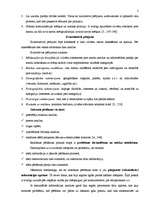 Konspekts 'Reklāmas pētīšana', 2.