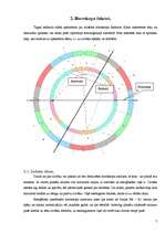 Referāts 'Planētu ietekme uz cilvēka dotībām un spējām, atkarībā no viņa dzimšanas brīža', 7.