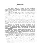 Biznesa plāns 'SIA "Kino - cafe"', 3.