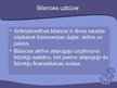 Prezentācija 'Grāmatvedība, bilance un darba ražīgums', 7.