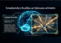 Prezentācija 'Centrālās nervu sistēmas fizioloģija', 9.