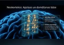 Prezentācija 'Centrālās nervu sistēmas fizioloģija', 12.
