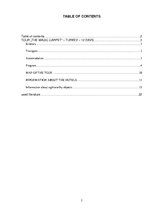 Konspekts 'Turkey Tour', 2.