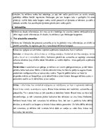 Referāts 'Reklāmas kampaņa "Hesburger"', 7.