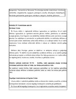 Referāts 'Reklāmas kampaņa "Hesburger"', 8.