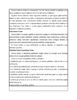 Referāts 'Reklāmas kampaņa "Hesburger"', 9.