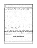 Referāts 'Reklāmas kampaņa "Hesburger"', 11.