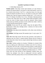 Prakses atskaite 'Prakses atskaite pasākumu aģentūrā', 14.