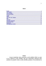 Referāts 'Korporatīvā sociālā atbildība', 2.