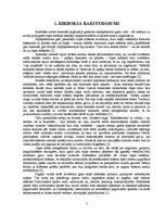 Referāts 'Kikboksa tehnika', 5.