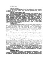 Referāts 'Kikboksa tehnika', 8.