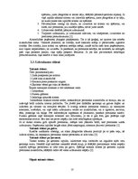 Referāts 'Kikboksa tehnika', 10.