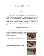 Prakses atskaite 'Dārzeņu sagriešanas veidi', 1.