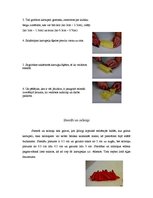 Prakses atskaite 'Dārzeņu sagriešanas veidi', 2.