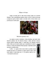 Prakses atskaite 'Dārzeņu sagriešanas veidi', 3.