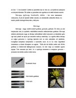 Prakses atskaite 'Dārzeņu sagriešanas veidi', 4.