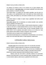 Referāts 'LR budžeta sistēma', 7.