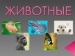 Prezentācija 'Животные и их систематика', 1.