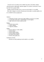 Referāts 'Mūzikas ietekme uz cilvēka veselību', 5.