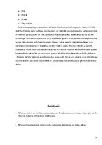 Referāts 'Mūzikas ietekme uz cilvēka veselību', 14.