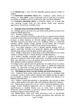 Referāts 'Darba aizsardzības instrukcija atbildīgajam par drošu kravu pārvietošanu', 3.