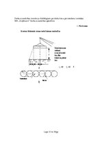 Referāts 'Darba aizsardzības instrukcija atbildīgajam par drošu kravu pārvietošanu', 15.