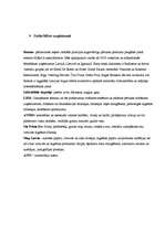 Prakses atskaite 'Viesnīca "Europa Royale Riga"', 11.