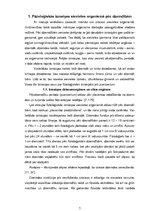 Referāts 'Jauno māmiņu pēcdzemdību problēmu ietekme uz sabiedrības veselīgu pilnveidi', 5.