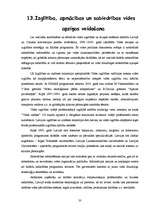 Referāts 'Gaisa piesārņojums', 33.