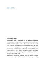 Referāts 'Veģetatīvā nervu sistēma', 2.