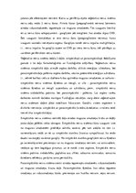 Referāts 'Veģetatīvā nervu sistēma', 3.